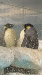 名古屋港水族館に投稿された画像（2025/12/28）