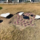 淡路ファームパーク イングランドの丘に投稿された画像（2025/12/28）