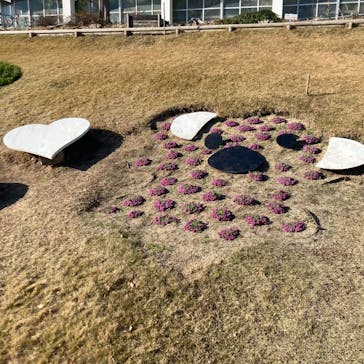 淡路ファームパーク イングランドの丘に投稿された画像（2025/12/28）