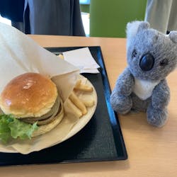 淡路ファームパーク イングランドの丘に投稿された画像（2025/12/28）