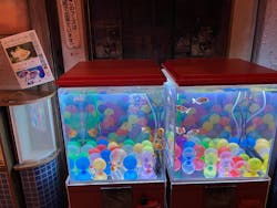 西武園ゆうえんちに投稿された画像（2025/12/28）