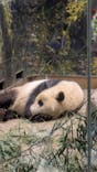 恩賜上野動物園に投稿された画像（2025/12/28）