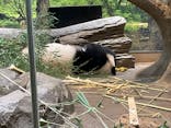 恩賜上野動物園に投稿された画像（2025/12/28）