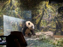 恩賜上野動物園に投稿された画像（2025/12/28）