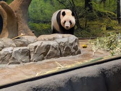 恩賜上野動物園に投稿された画像（2025/12/28）