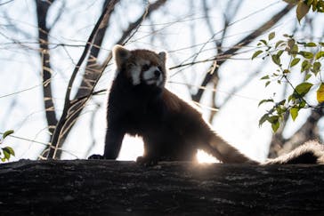 こども動物自然公園（埼玉県公園緑地協会）に投稿された画像（2025/12/28）