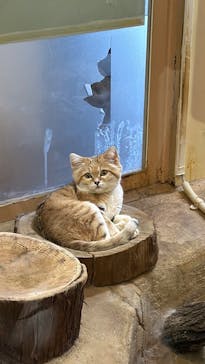 こども動物自然公園（埼玉県公園緑地協会）に投稿された画像（2025/12/28）