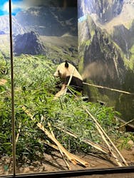 恩賜上野動物園に投稿された画像（2025/12/28）