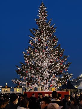 Christmas Market in 横浜赤レンガ倉庫 2025に投稿された画像（2025/12/28）