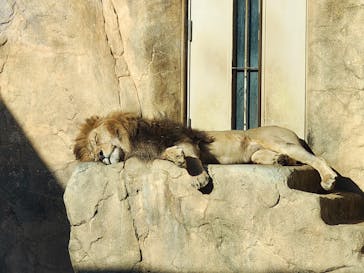 千葉市動物公園に投稿された画像（2025/12/28）