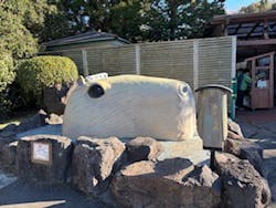 伊豆シャボテン動物公園に投稿された画像（2025/12/28）