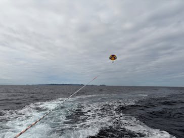 パラセーリング専門店FACEに投稿された画像（2025/12/28）