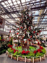 安城産業文化公園デンパークに投稿された画像（2025/12/28）