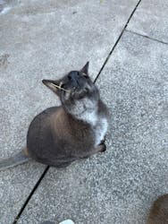 伊豆アニマルキングダムに投稿された画像（2025/12/28）