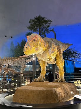 福井県立恐竜博物館に投稿された画像（2025/12/28）