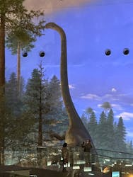 福井県立恐竜博物館に投稿された画像（2025/12/28）
