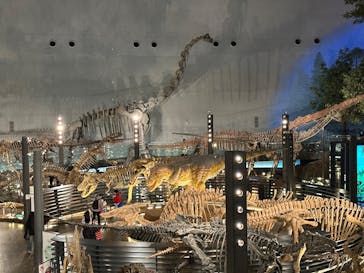 福井県立恐竜博物館に投稿された画像（2025/12/28）