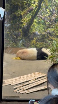 恩賜上野動物園に投稿された画像（2025/12/28）