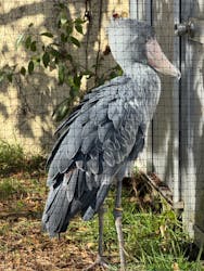 恩賜上野動物園に投稿された画像（2025/12/28）