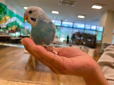 いきもの探検隊湘南に投稿された画像（2025/12/28）