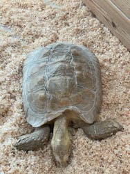 いきもの探検隊湘南に投稿された画像（2025/12/28）