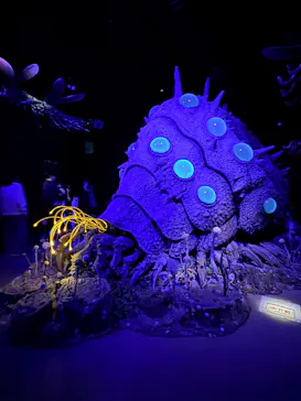 金曜ロードショーとジブリ展（静岡展）に投稿された画像（2025/12/28）