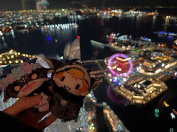 横浜ランドマークタワー 69階展望フロア スカイガーデンに投稿された画像（2025/12/28）