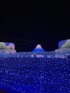 なばなの里に投稿された画像（2025/12/28）