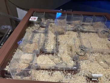 シン・マリホ水族館に投稿された画像（2025/12/28）