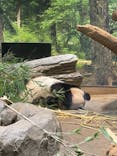 恩賜上野動物園に投稿された画像（2025/12/28）