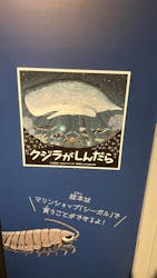 しながわ水族館に投稿された画像（2025/12/28）