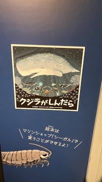 しながわ水族館に投稿された画像（2025/12/28）