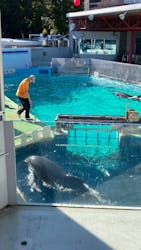 しながわ水族館に投稿された画像（2025/12/28）