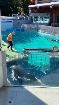 しながわ水族館に投稿された画像（2025/12/28）