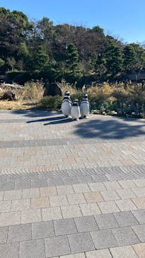 しながわ水族館に投稿された画像（2025/12/28）