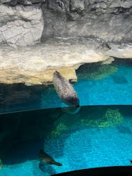 アクアワールド茨城県大洗水族館に投稿された画像（2025/12/28）
