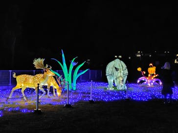 東武動物公園に投稿された画像（2025/12/28）