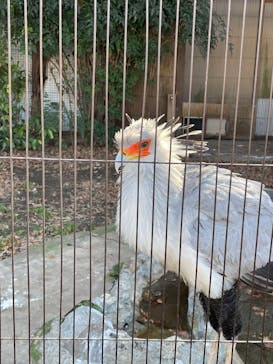 恩賜上野動物園に投稿された画像（2025/12/28）