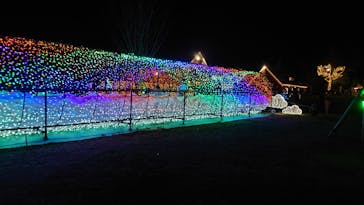 マザー牧場に投稿された画像（2025/12/28）