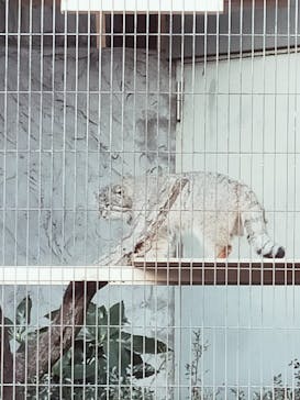 名古屋市東山動植物園に投稿された画像（2025/12/28）