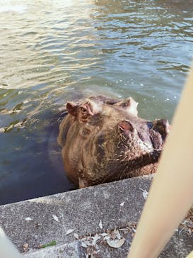 名古屋市東山動植物園に投稿された画像（2025/12/28）