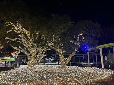 みろくの里に投稿された画像（2025/12/28）