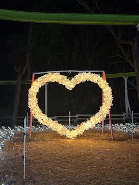 みろくの里に投稿された画像（2025/12/28）