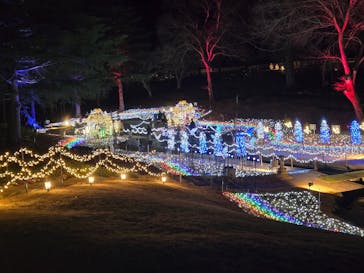 修善寺虹の郷に投稿された画像（2025/12/28）