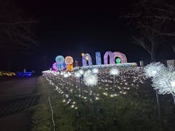 修善寺虹の郷に投稿された画像（2025/12/28）