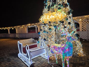 修善寺虹の郷に投稿された画像（2025/12/28）