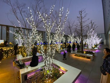 ハルカス300(展望台)に投稿された画像（2025/12/28）