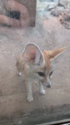 伊豆シャボテン動物公園に投稿された画像（2025/12/28）