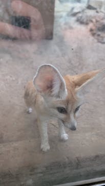 伊豆シャボテン動物公園に投稿された画像（2025/12/28）