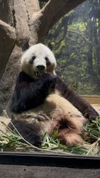 恩賜上野動物園に投稿された画像（2025/12/28）